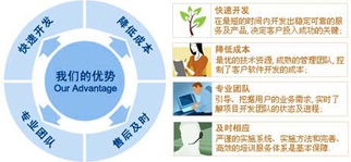 邢台数字化服务全览 软件开发、网站建设与网络推广一站式解决方案